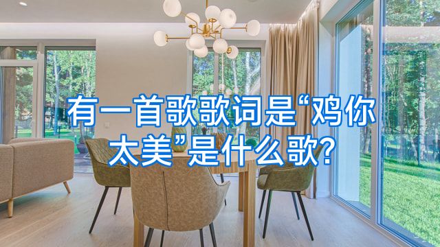 有一首歌歌词是“鸡你太美”是什么歌?