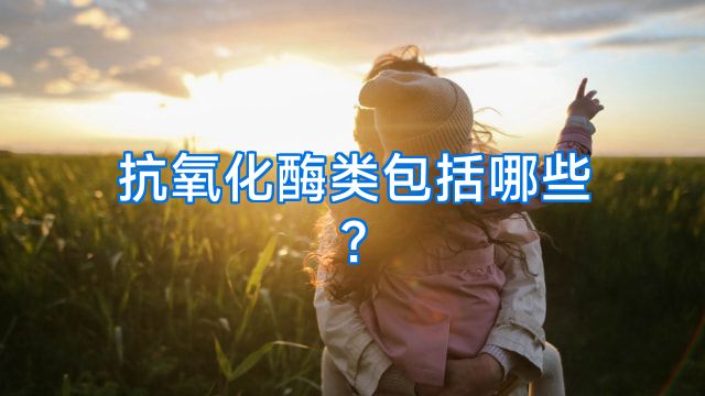 抗氧化酶类包括哪些?