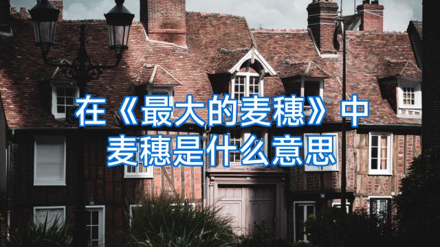 在《最大的麦穗》中麦穗是什么意思