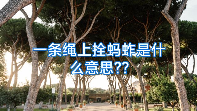 一条绳上拴蚂蚱是什么意思??