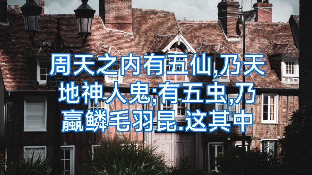 周天之内有五仙,乃天地神人鬼;有五虫,乃蠃鳞毛羽昆.这其中