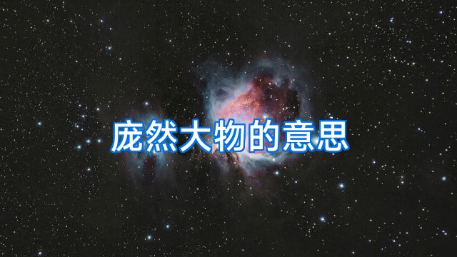庞然大物的意思