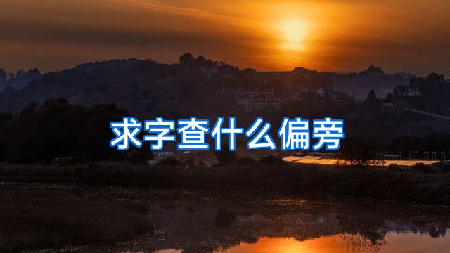求字查什么偏旁