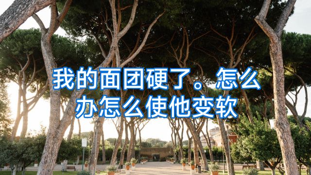 我的面团硬了。怎么办怎么使他变软