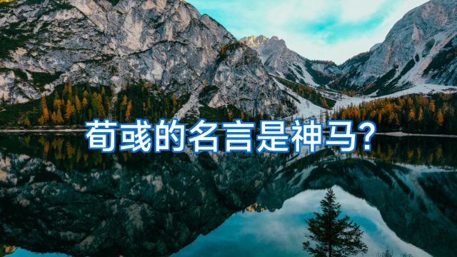 荀彧的名言是神马?