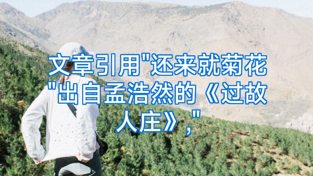文章引用