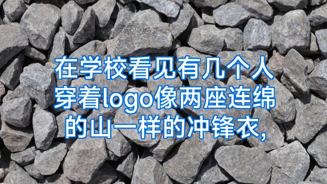 在学校看见有几个人穿着logo像两座连绵的山一样的冲锋衣,