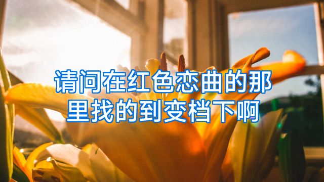 请问在红色恋曲的那里找的到变档下啊
