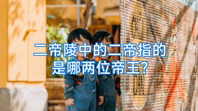 二帝陵中的二帝指的是哪两位帝王?