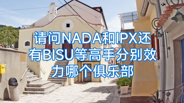 请问NADA和IPX还有BISU等高手分别效力哪个俱乐部