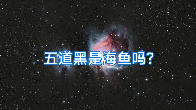 五道黑是海鱼吗?