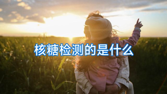 核糖检测的是什么