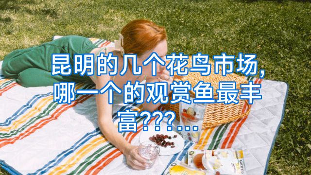 昆明的几个花鸟市场,哪一个的观赏鱼最丰富???…