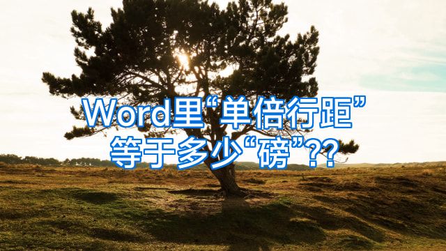 Word里“单倍行距”等于多少“磅”??