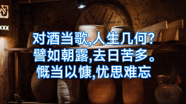 对酒当歌,人生几何?譬如朝露,去日苦多。慨当以慷,忧思难忘