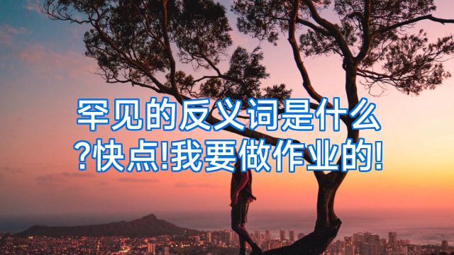 罕见的反义词是什么?快点!我要做作业的!