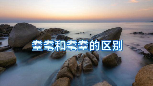 耋耄和耄耋的区别