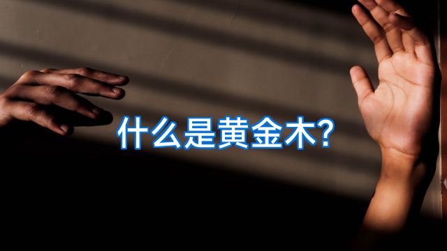 什么是黄金木?