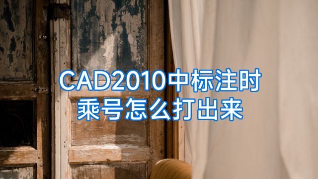 CAD2010中标注时乘号怎么打出来