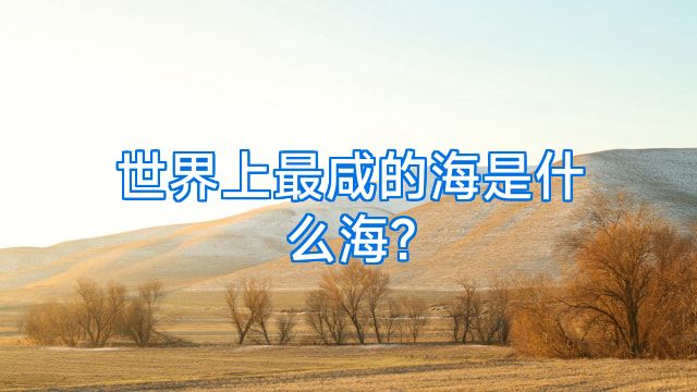 世界上最咸的海是什么海?