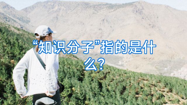 “知识分子”指的是什么?