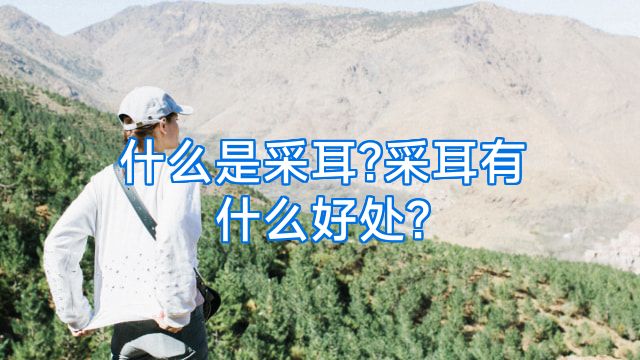 什么是采耳?采耳有什么好处?
