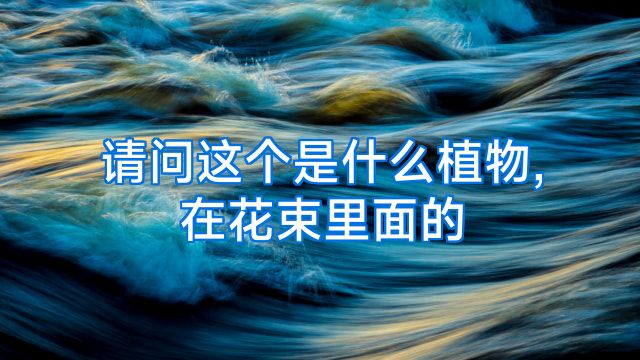 请问这个是什么植物,在花束里面的