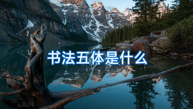 书法五体是什么