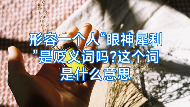 形容一个人“眼神犀利”是贬义词吗?这个词是什么意思