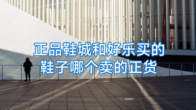正品鞋城和好乐买的鞋子哪个卖的正货