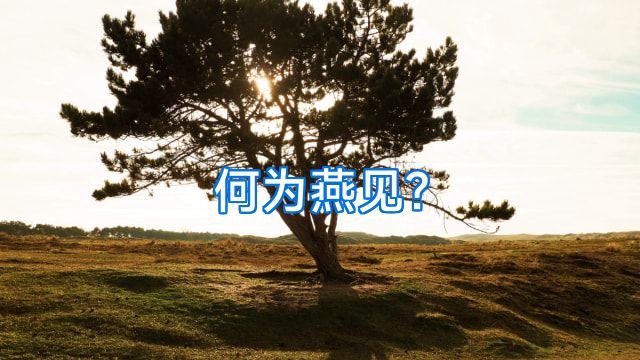 何为燕见?
