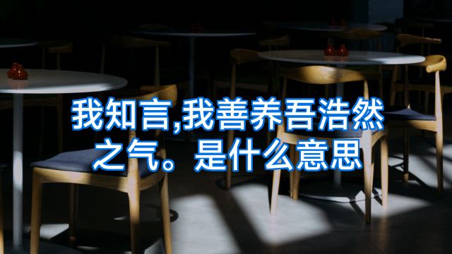 我知言,我善养吾浩然之气。是什么意思