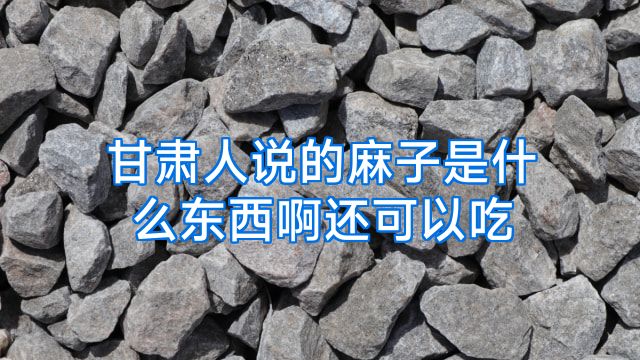 甘肃人说的麻子是什么东西啊还可以吃