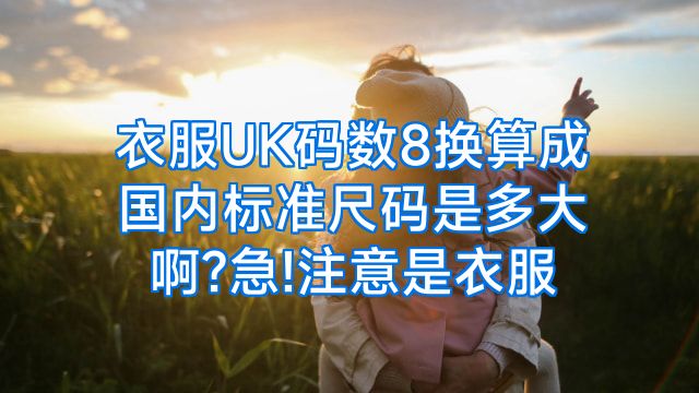 衣服UK码数8换算成国内标准尺码是多大啊?急!注意是衣服