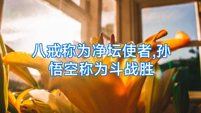 八戒称为净坛使者,孙悟空称为斗战胜