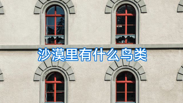 沙漠里有什么鸟类