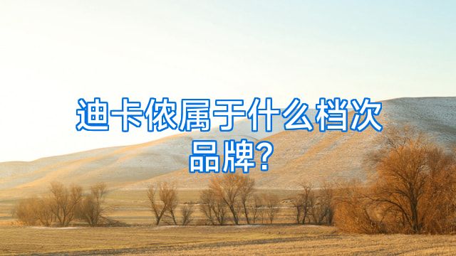 迪卡侬属于什么档次品牌?