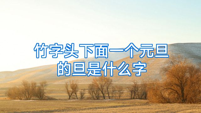 竹字头下面一个元旦的旦是什么字