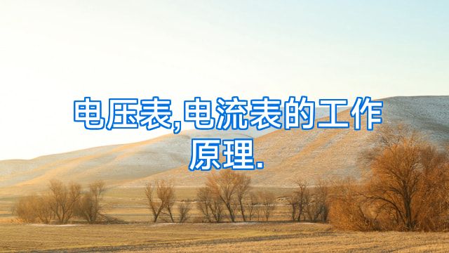 电压表,电流表的工作原理.