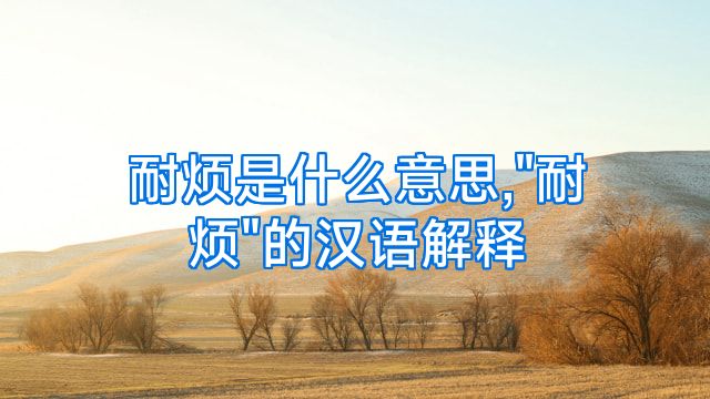 耐烦是什么意思,
