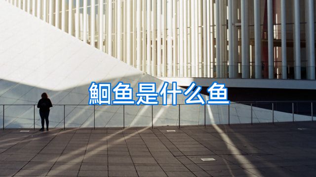 鮰鱼是什么鱼