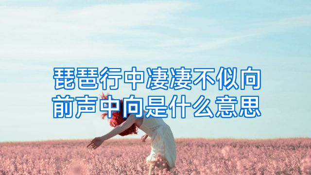 琵琶行中凄凄不似向前声中向是什么意思