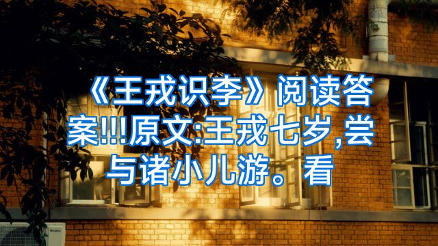 《王戎识李》阅读答案!!!原文:王戎七岁,尝与诸小儿游。看