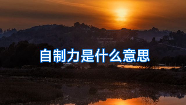 自制力是什么意思