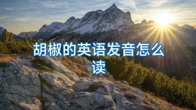 胡椒的英语发音怎么读