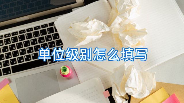 单位级别怎么填写