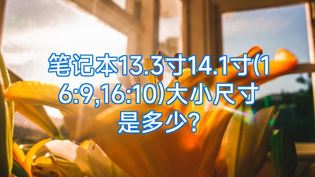 笔记本13.3寸14.1寸(16:9,16:10)大小尺寸是多少?