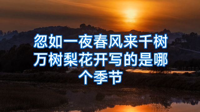忽如一夜春风来千树万树梨花开写的是哪个季节