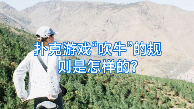 扑克游戏“吹牛”的规则是怎样的?