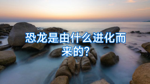 恐龙是由什么进化而来的?
